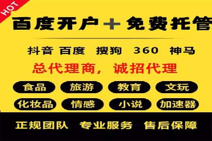 案例分析：SEM推广代运营效果
